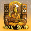 Tao Of Sound / Metro